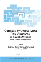 Alexis T. Bell, Gabriele Centi, Blanka Wichterlova, Blanka Wichterlová - Catalysis by Unique Metal Ion Structures in Solid Matrices