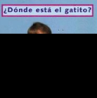 Cheryl Christian, Laura Dwight - Donde Esta El Gatito?