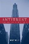 Wyatt Wells, Wyatt C. Wells - Antitrust and the Formation of the Postwar World