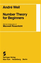 Andre Weil, André Weil, Andrew Weil - Number Theory for Beginners