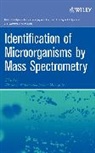 Lay, Jackson O Lay, Jackson O. Lay, Lay Jackson O., Wilkins, Charles L Wilkins... - Identification of Microorganisms By Mass Spectrometry