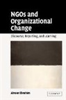 Alnoor Ebrahim, Ebrahim Alnoor - Non-Governmental Organizations and Organizational Change