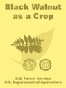 U. S. Department of Agriculture, Departm U. S. Department of Agriculture, U. S. Forest Service, Forest Service U. S. Forest Service - Black Walnut as a Crop