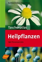 Burkhar Bohne, Burkhard Bohne, Peter Dietze - Heilpflanzen