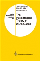 Carl Cercignani, Carlo Cercignani, Reinhar Illner, Reinhard Illner, Mar Pulvirenti, Mario Pulvirenti - The Mathematical Theory of Dilute Gases