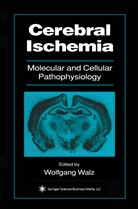 Wolfgang Walz, Wolfgang Walz - Cerebral Ischemia