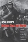 Bruce Western, Western Bruce - Between Class and Market