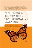 Morrell, A Morrell, A. Morrell, Amish Morrell, M O'Connor, M. O'Connor... - Expanding the Boundaries of Transformative Learning