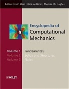 Erwin Borst Stein, Ed Stein Erwin, STEIN ERWIN BORST RENE DE HUGHES, Rene de Borst, René de Borst, Ren de Borst... - Encyclopedia of Computational Mechanics