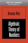 Hermann Weyl - Algebraic Theory of Numbers