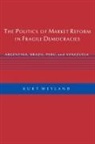 Kurt Weyland, Weyland Kurt - Politics of Market Reform in Fragile Democracies