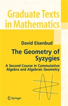 David Eisenbud - The Geometry of Syzygies