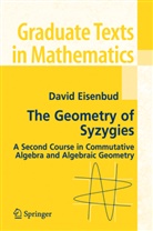 David Eisenbud - The Geometry of Syzygies
