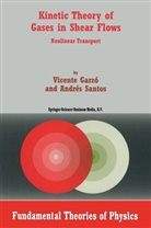 Vicente Garzo, Vicente Garzó, Vicente Garzs, A. Santos, Andres Santos - Kinetic Theory of Gases in Shear Flows