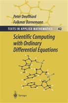 Folkmar Bornemann, Pete Deuflhard, Peter Deuflhard, W. C. Rheinboldt - Scientific Computing with Ordinary Differential Equations