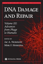 Merl F. Hoekstra, Jac Nickoloff, Jac A. Nickoloff - DNA Damage and Repair
