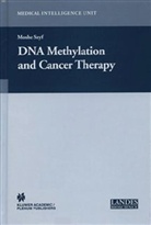 Moshe Szyf, M. Szyf - DNA Methylation and Cancer Therapy