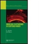 E. Jakeman, E. Ridley Jakeman, Eric C. Jakeman, Eric C. Ridley Jakeman, Jakeman E., K. D. Ridley... - Modeling Fluctuations in Scattered Waves