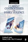 Mary M. Cavanaugh, Richard J. Gelles, Donileen R. Loseke, Donileen R. (EDT)/ Gelles Loseke, Donileen R. Gelles Loseke, LOSEKE DONILEEN R GELLES RICHAR... - Current Controversies on Family Violence