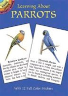 Activity Books, Lisa Bonforte - Learning About Parrots