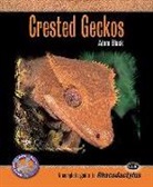 Adam Black - Crested geckos