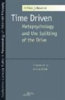 Adrian Johnston, Adrian/ Zizek Johnston - Time Driven