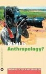 Thomas Hylland Eriksen - What Is Anthropology?