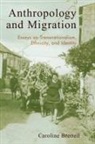 Caroline Brettell, Caroline B. Brettell - Anthropology And Migration
