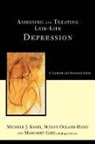 Margaret Gatz, Michele Karel, Michele J Karel, Michele J. Karel, Michele J. Ogland-Hand Karel, Suzann Ogland-Hand... - Assessing and Treating Late-Life Depression