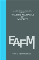 Albert Carpinteri, Alberto Carpinteri, A. R. Ingraffea, A.R. Ingraffea, Anthony R. Ingraffea, R Ingraffea... - Fracture mechanics of concrete: Material characterization and testing