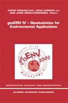 Jesu Carrera, Jesus Carrera, Jaime Gimez-Hernandez, Jaime Gomez-Hernandez, J. Jaime Gómez-Hernández, Jaime Gómez-Hernández... - geoENV IV - Geostatistics for Environmental Applications
