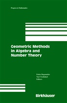 Fedo Bogomolov, Fedor Bogomolov, Tschinkel, Tschinkel, Yuri Tschinkel - Geometric Methods in Algebra and Number Theory