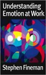 Stephen Fineman - Understanding Emotion At Work