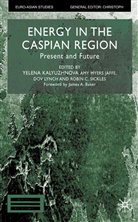 Yelena Etc. Jaffe Kalyuzhnova, Yelena Jaffe Kalyuzhnova, Kalyuzhova, Jaffe, A Jaffe, A. Jaffe... - Energy in the Caspian Region