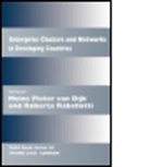 Meine Dijk, Meine Pieter Van Rabellotti Dijk, Meine Pieter (Institute for Housing and Van Dijk, Meine Pieter Rabellotti Van Dijk, Meine Pieter van Dijk, Roberta Rabellotti... - Enterprise Clusters and Networks in Developing Countries