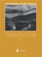 J. Marsden, Janet Marsden, Jerrol Marsden, Jerrold Marsden, Jerrold E. Marsden, A. Weinstein... - Calculus I. Vol.1