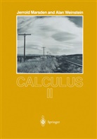 Jerold Marsden, Jerrol Marsden, Jerrold Marsden, Jerrold E. Marsden, A. Weinstein, Alan Weinstein - Calculus II. Vol.2