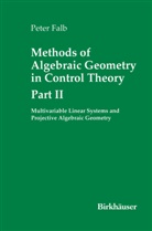 Peter Falb - Methods of Algebraic Geometry in Control Theory: Part II
