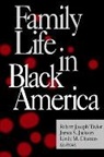 Robert Joseph Jackson Taylor, TAYLOR ROBERT JOSEPH JACKSON JAM, Linda M Chatters, Linda M. Chatters, Linda Marie Chatters, James S Jackson... - Family Life in Black America