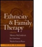 Nuha Abudabbeh, Rhea Almeida, Nydia Garcia Preto, Nydia Garcia-Preto, Nydia (LCSW Garcia-Preto, Nydia A. Garcia-Preto... - Ethnicity and Family Therapy, Third Edition