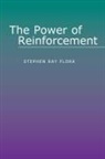 Stephen R. Flora, Stephen Ray Flora, Michael A. Wallach - Power of Reinforcement