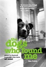 Ken Foster - Dogs Who Found Me