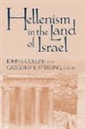 j sterling Collins, John J. Collins, John Joseph Collins, Gregory E. Sterling - Hellenism in the land of israel