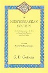 S. D. Goitein, S. D. Goitein - A Mediterranean society : Volume 1
