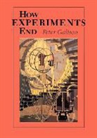 Peter Galison, Peter Louis Galison, Galison Peter - How Experiments End