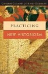 Catherine Gallagher, Stephen Greenblatt, Stephen J. Greenblatt - Practicing New Historicism