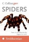 Paul Hillyard - Spiders
