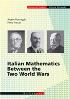 Angel Guerraggio, Angelo Guerraggio, Pietro Nastasi - Italian Mathematics Between the Two World Wars