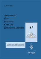 A. Gullo, Antonino Gullo, Gullo, A Gullo, A. Gullo, Antonino Gullo - Anaesthesia, Pain, Intensive Care and Emergency Medicine - A.P.I.C.E., 2 Teile