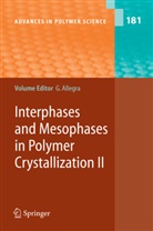Giusepp Allegra, Giuseppe Allegra - Interphases and Mesophases in Polymer Crystallization II. Vol.2
